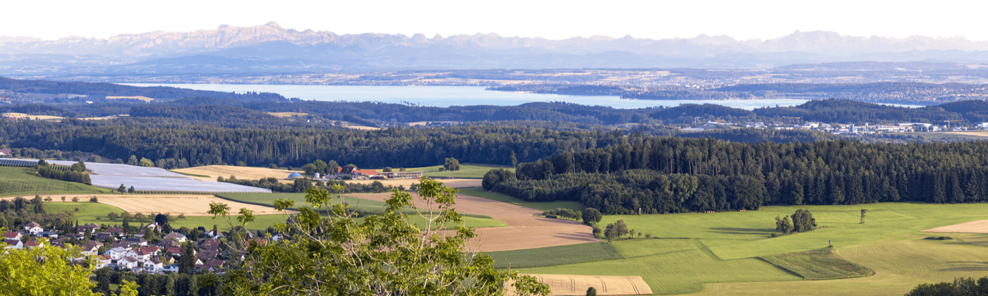 Hegau Landschaft mit dem Bodensee und den Alpen
